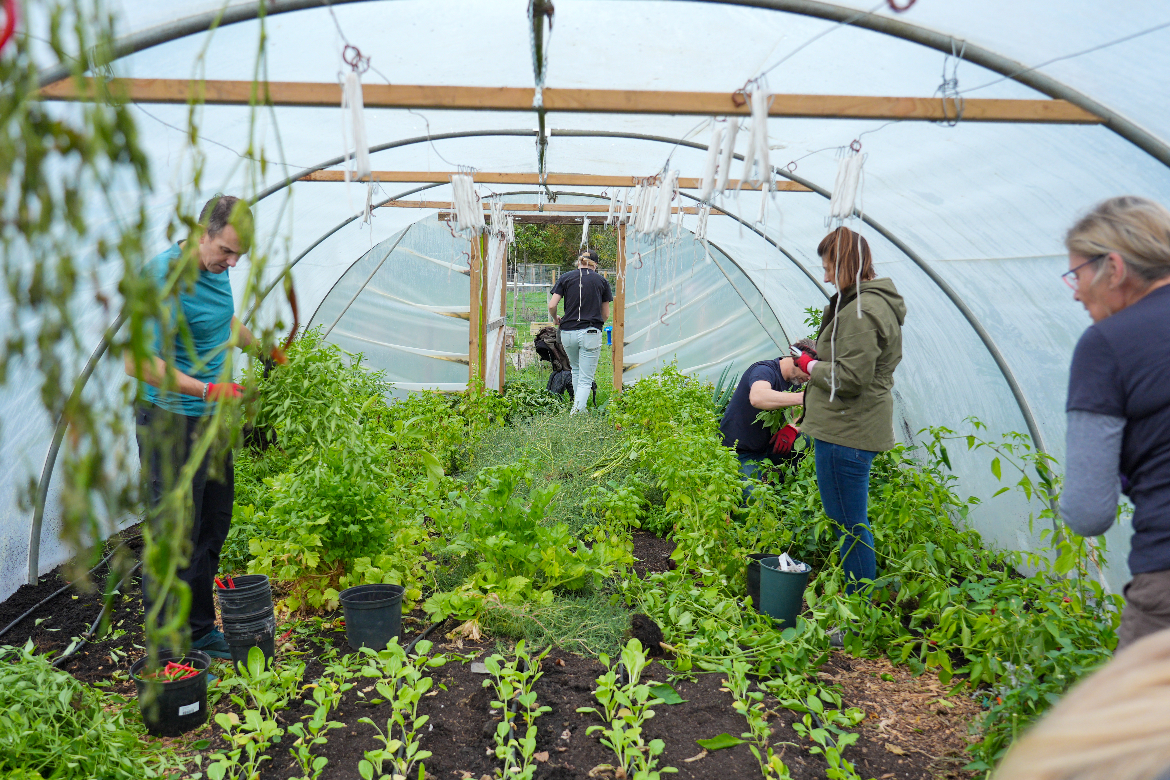 Catesby Estates Team Day 2025