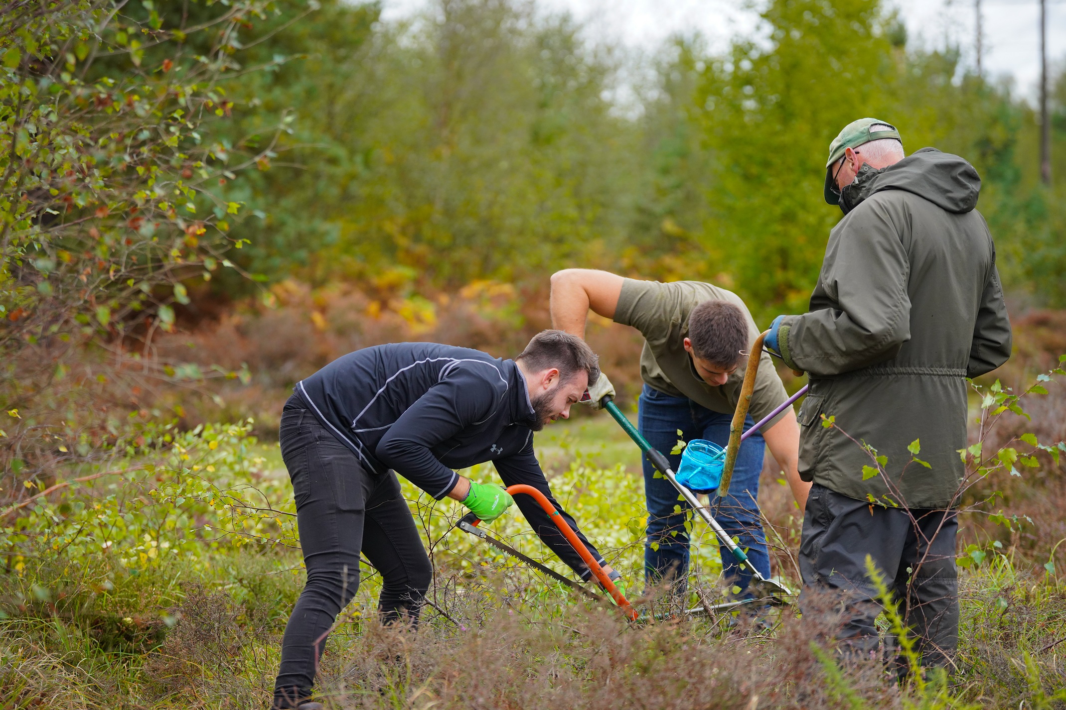 Strategic Land Promoter Volunteers